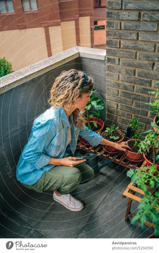 Frau prüft Pflanzen eines städtischen Gartens auf der Terrasse und hält ein digitales Tablet in der Hand Gärtner Überprüfung Dachterrasse urban Blatt