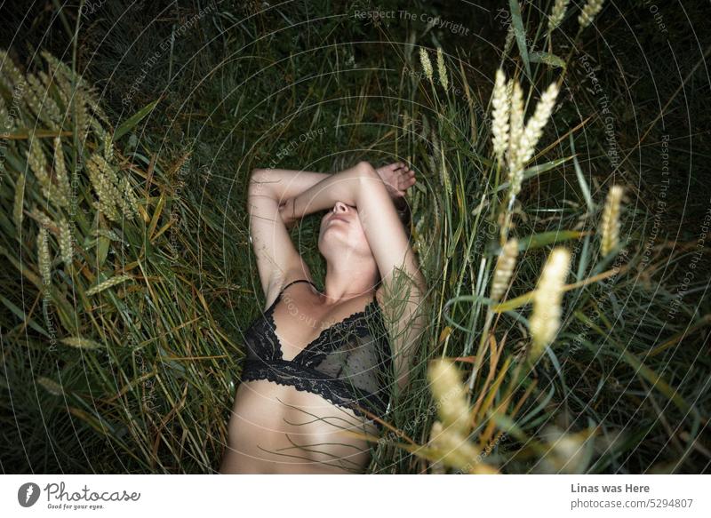 So fühlt es sich an, wenn man es sich auf dem Boden zwischen grünem Gras und wildem Unkraut bequem macht. Eine Taschenlampe entblößt diese hinreißende Frau, die einen sexy schwarzen Bralette trägt. Eine Sommernacht mit einem heißen und entspannten Lingerie-Modell.