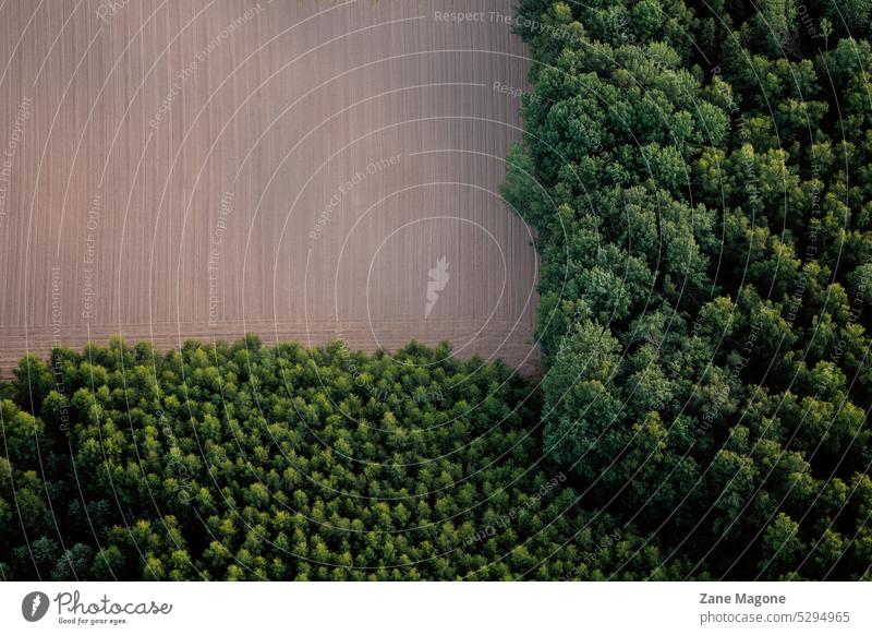 Luftaufnahme von Wald und landwirtschaftlichen Flächen, Entwaldung Abholzungszone Natur Umwelt Holz Baum Landschaft Ökologie Ansicht im Freien Forstwirtschaft