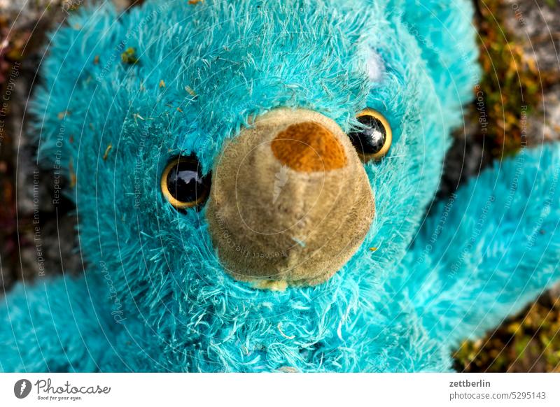Kuscheltier blau blaubär blick blickkontakt gefunden gesicht liegen plüschtier spiel spielzeug teddy teddybär traurig verloren verlust kuscheltier portrait auge