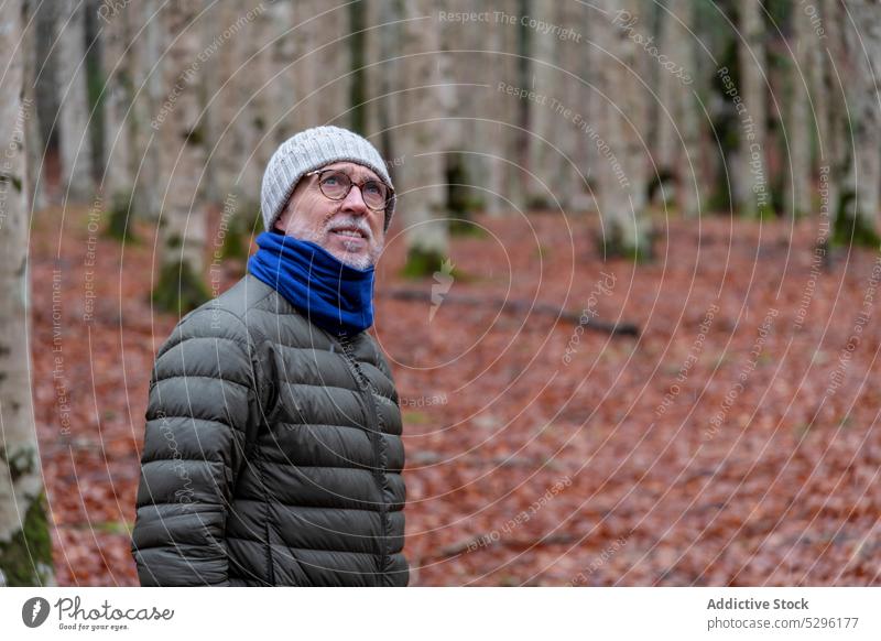 Älterer Mann in warmer Kleidung im Wald Herbst schlendern Natur Landschaft warme Kleidung genießen Saison fallen Senior älter männlich Oberbekleidung Brille