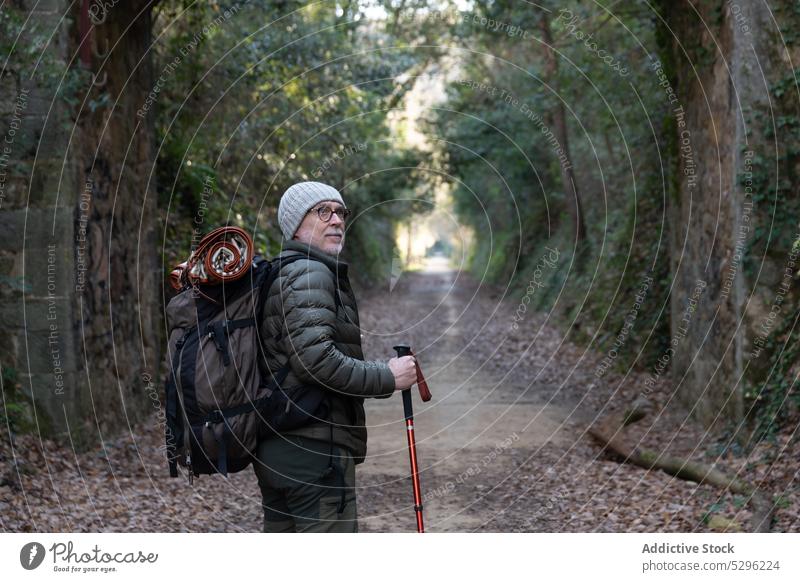 Wanderer im Wald Mann Trekking Reisender Spaziergang erkunden Wälder Natur Fernweh Weg männlich Wanderung Ausflug Senior Baum Rucksack Mast Abenteuer Waldgebiet