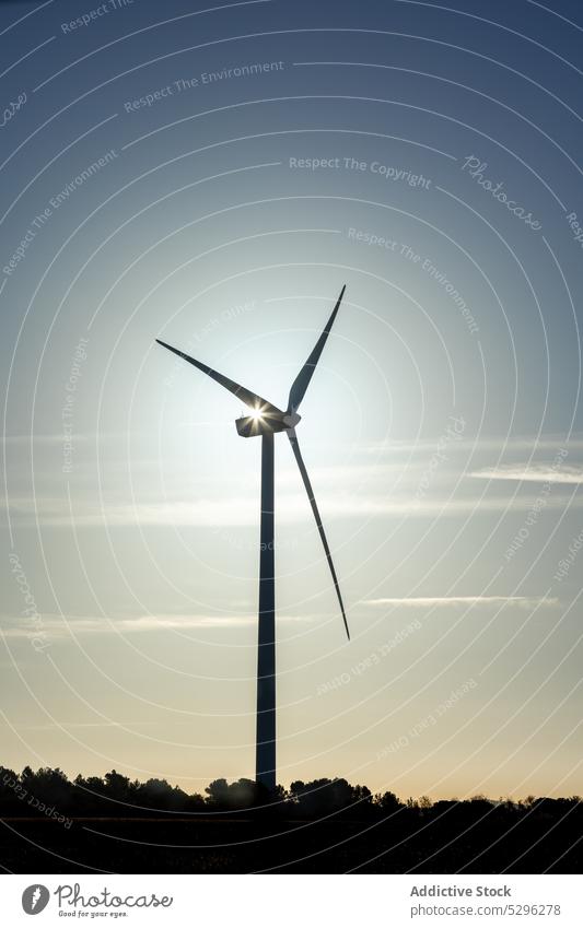 Windräder auf einem Feld bei Sonnenuntergang Silhouette Turbine Natur Landschaft alternativ Energie Wolkenloser Himmel Turm nachhaltig wirkungsvoll Erzeuger