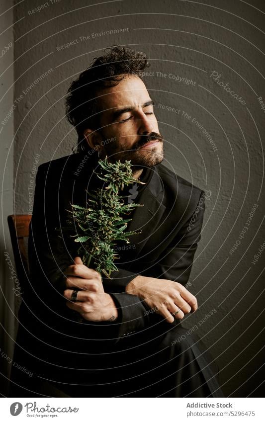 Bärtiger Mann riecht an Marihuanapflanze in dunklem Raum Beine gekreuzt Augen geschlossen riechen Pflanze aromatisch dekorativ hölzern Stuhl genießen männlich