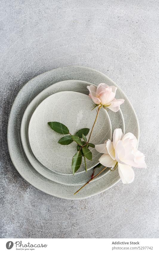 Gedeckter Tisch mit weißen Rosen Hintergrund Blütezeit Schalen & Schüsseln Keramik Beton Besteck Abendessen Essgeschirr Veranstaltung geblümt Blume Lebensmittel