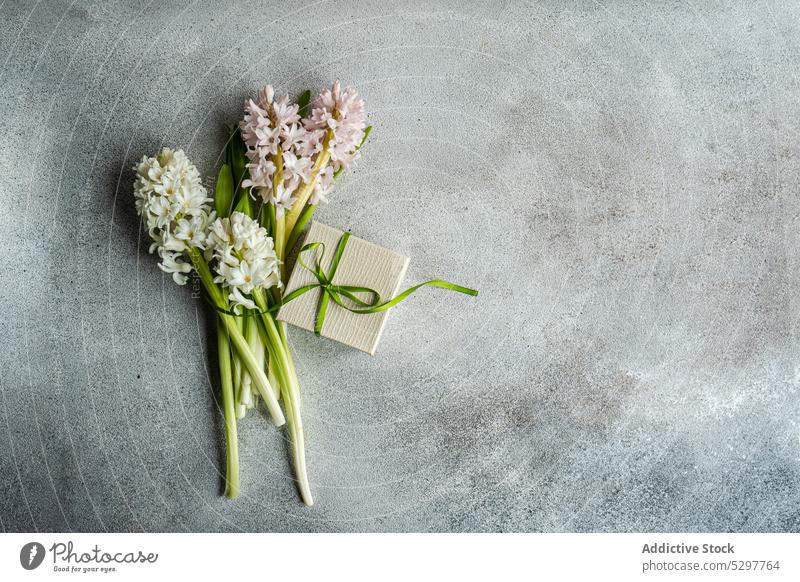 Hyazinthe Blumen in der Nähe von Geschenk-Box mit Schleife Ostern Hintergrund Schönheit binden Blumenstrauß Beton festlich flache Verlegung Flora geblümt Rahmen