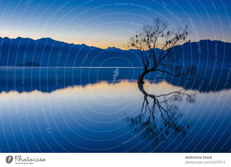 Ruhiger See mit Baum umgeben von Bergen am Abend laublos wachsen Sonnenuntergang Berge u. Gebirge einsam Natur Reflexion & Spiegelung Windstille reflektieren