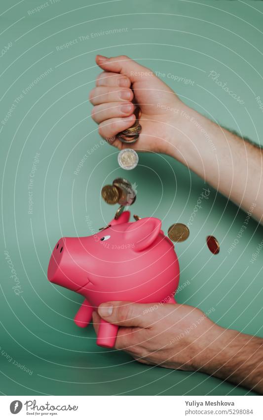 Sparschwein.savings and spending concept.falling euro coins from a male hand and a pink piggy bank on a green background Schweinchen Bank Einsparungen Ausgaben