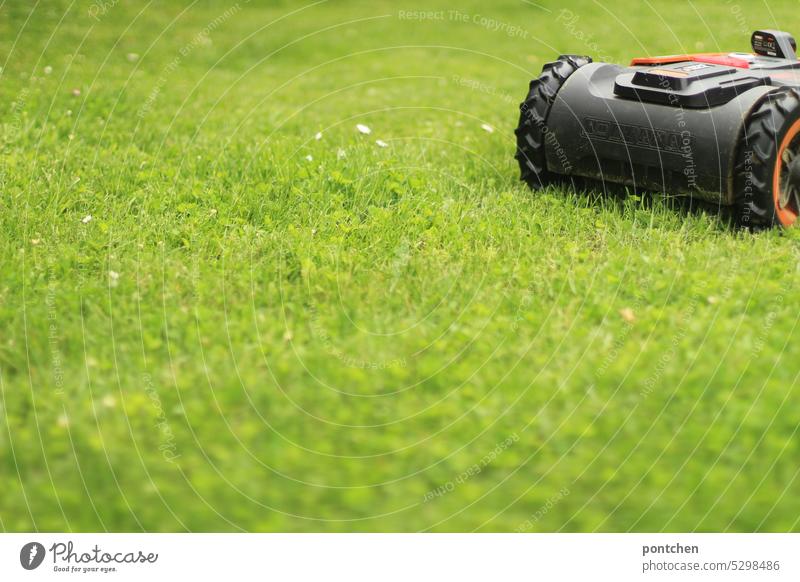 ein Rasenmäherroboter fährt über einen grünen Rasen, Wiese. Fortschritt, Technik, Erleichterung. Gartenarbeit rasenmähen technik fortschritt rasenmäherroboter