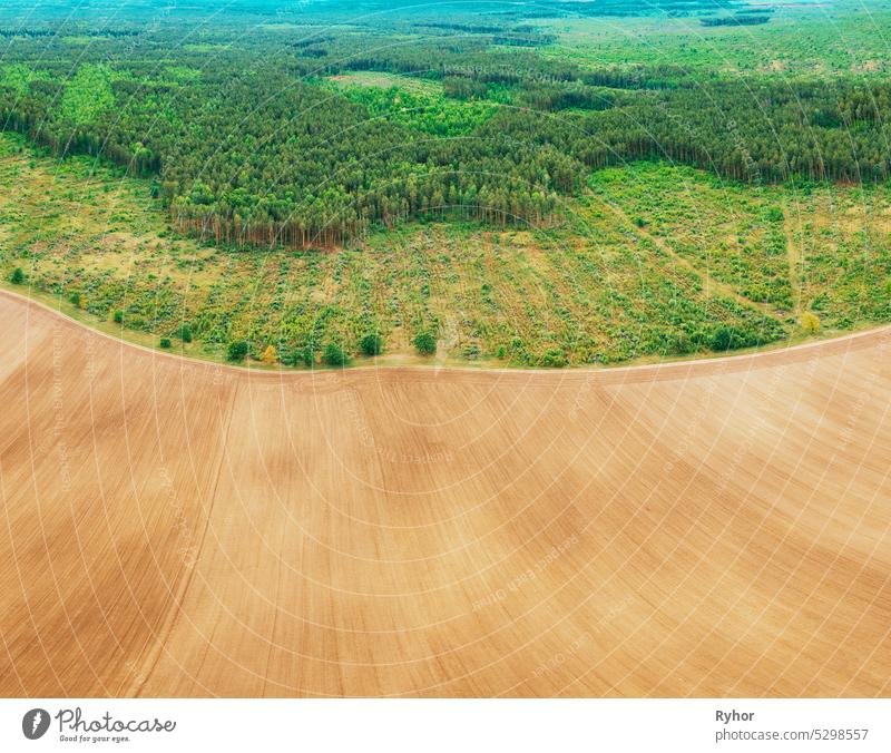 Luftaufnahme von Feld und Abholzung Bereich Zone Landschaft. Draufsicht auf ein Feld und eine grüne Kiefernwaldlandschaft. Groß angelegte industrielle Abholzung zur Ausweitung landwirtschaftlicher Flächen