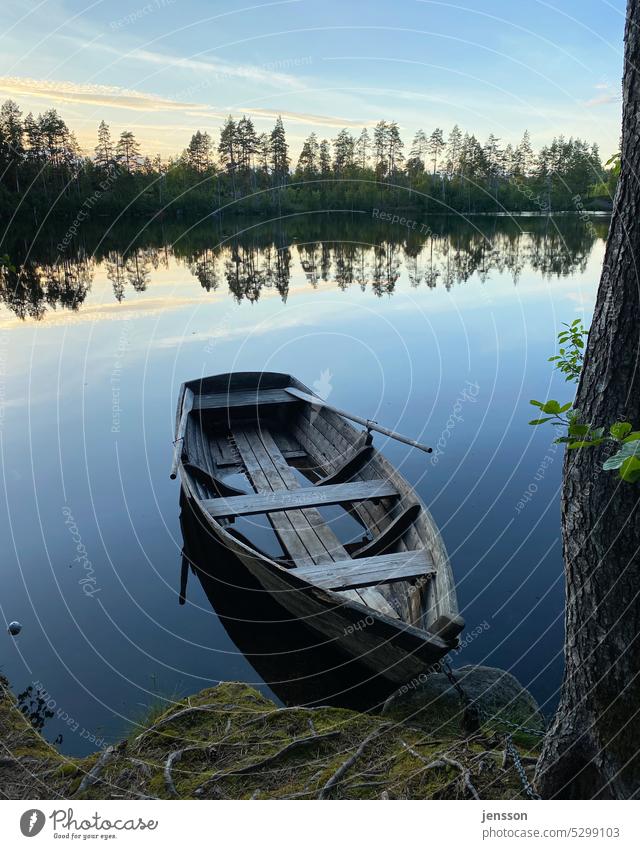 Ruderboot an einem See in Schweden im Abendlicht Skandinavien Sommer Abendstimmung Abenddämmerung abendstille Sommerurlaub sommerlich Bootsfahrt Rudern Wald
