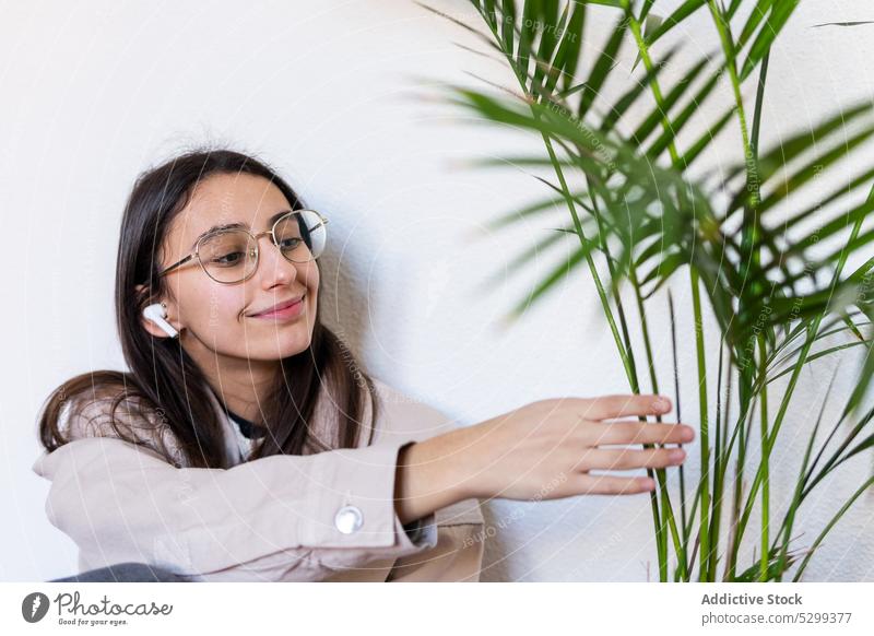 Inhalt Frau mit Kopfhörern berührt Pflanze zuhören Musik positiv Brille genießen Klang Gesang Gerät jung Audio sorgenfrei Vergnügen Melodie Freude angenehm