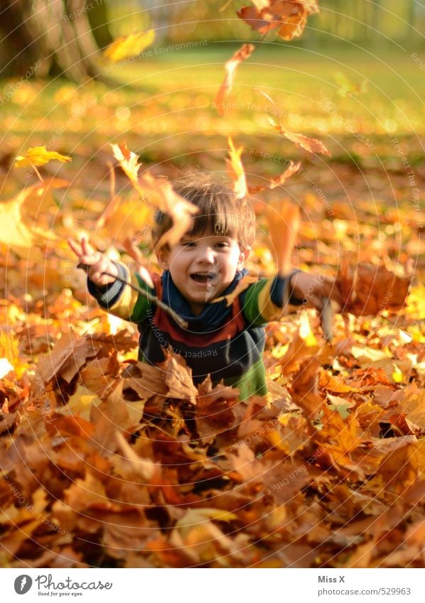 Kind im Laub Spielen Kinderspiel Mensch Kleinkind Junge Kindheit 1 1-3 Jahre 3-8 Jahre Herbst Baum Blatt Garten Park Wald lachen werfen frech Fröhlichkeit