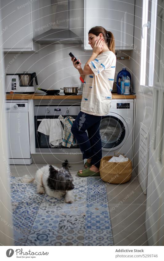 Junge Frau mit Hund und Telefon in der Küche zu Hause Lifestyle klein Arbeit benutzend Wochenende Smartphone heimisch Abfertigungsschalter ruhen Wäscherei