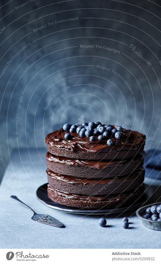 Schokoladenkuchen mit Blaubeeren obendrauf Kuchen Dessert süß Glasur lecker Teller Gebäck gebacken dienen Leckerbissen geschmackvoll geschmolzene Schokolade