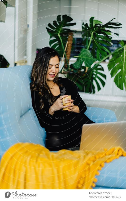 Glückliche schwangere Frau mit einer Tasse Heißgetränk und einem Laptop benutzend zuschauen Film Pflanze Sofa Lächeln positiv jung pränatal führen Netbook