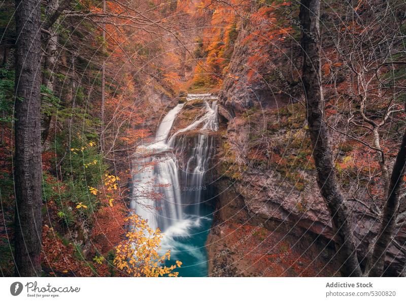 Wasserfall in den Bergen mit Herbstbäumen fließen Felsen Klippe Berge u. Gebirge Berghang Kraft Baum Natur Odese pyrenäen von huesca Spanien Europa Park wachsen