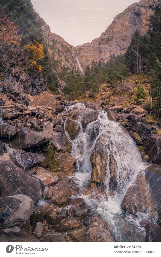 Ein reißender Bach fließt durch Felsen zwischen herbstlichen Bäumen strömen Wasser fließen felsig Berge u. Gebirge Kraft Herbst Baum Natur Odese