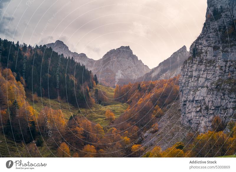 Bergtal mit herbstlich gefärbten Bäumen Herbst Baum Hügel felsig Berge u. Gebirge Sonnenlicht Sonnenschein Natur fallen Gipfel Odese pyrenäen von huesca Spanien
