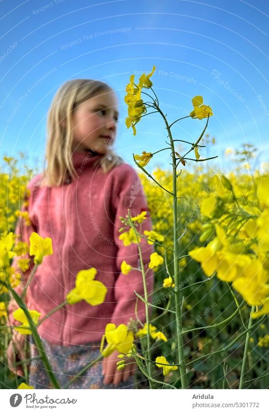 Mädchen steht im Rapsfeld Rapsblüte gelb Blumen Rapsanbau Feld Nutzpflanze Landwirtschaft Frühling Blüte Himmel Schönes Wetter Blauer Himmel Kind Kindheit