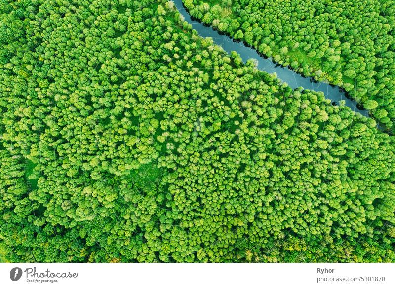 Grüner Wald Grünanlage Vegetation und Fluss, flache Ansicht Luftbild. Grüner Wald und Fluss Landschaft in der Draufsicht Schöne Natur Sommersaison Hintergrund