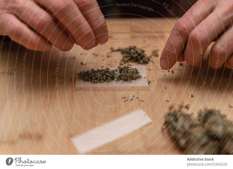Unbekannter Mann bereitet getrocknetes Cannabis für die Herstellung eines Joints vor Marihuana Gelenk vorbereiten stumpf Blütenknospen Unkraut Rauch trocknen