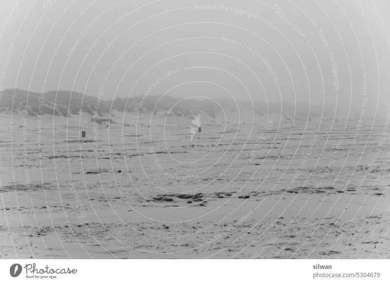 Watenmeerstrand - folge den Mülleimern Strand Sandstrand Nebel Wind kalt nass düster feucht Wellen Schaum grau weiss neblig salzig moody rauh kühl Ameland waten