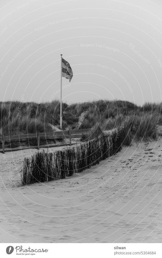 Watenmeerstrand bei windig-nass-nebligem Wetter Strand Sandstrand Nebel Wind kalt düster feucht Wellen Schaum grau weiss salzig moody rauh kühl Ameland waten