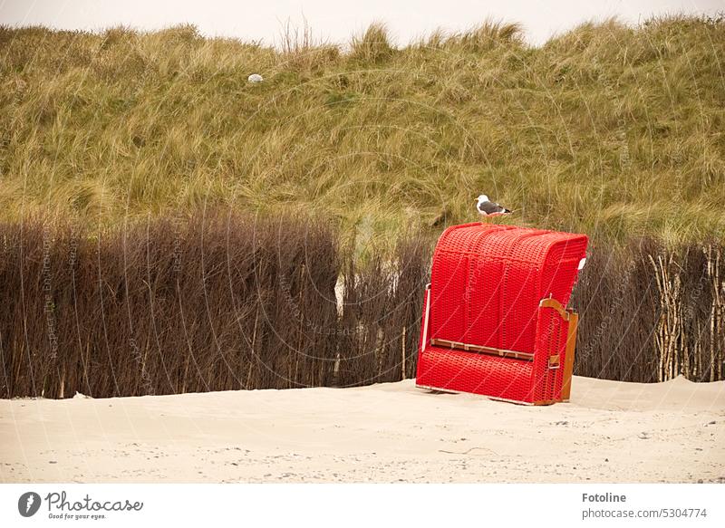 Schief steht der knallig rote Strandkorb am Strand von der Düne vor Helgoland. Eine Möwe nutzt ihn als Aussichtspunkt. Noch hat die Saison nicht begonnen, also können auch keine Touristen beklaut werden.