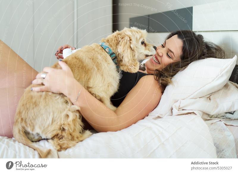 Glückliche Frau umarmt Hund auf Bett Lächeln Kraulen Lachen Streicheln Haustier sich[Akk] entspannen Schlafzimmer Lügen heiter Unterwäsche weich jung Morgen