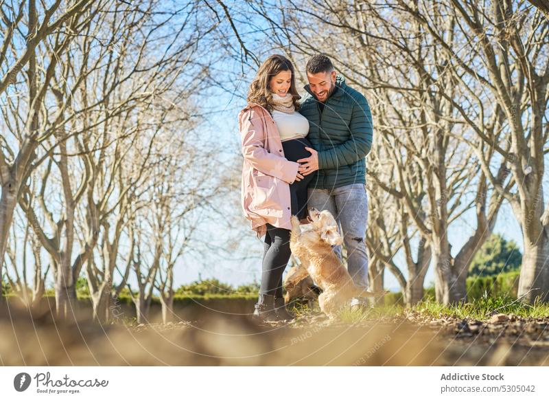 Glückliches Paar, das mit Hund spazieren geht Ehefrau Ehemann schwanger erwarten Bauch mütterlich Park Schwangerschaft Kinderkriegen pränatal Mutterschaft
