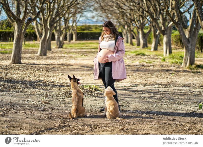 Freudig erwartungsvolle Frau mit Hunden auf der Straße schwanger erwarten Bauch mütterlich Park Lächeln Freude Schwangerschaft Kinderkriegen pränatal