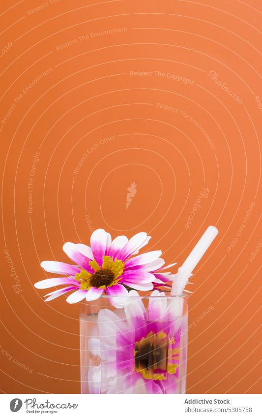 Glas mit frischem Cocktail, Blumen und Strohhalm Getränk trinken Erfrischung kalt Alkohol Blütezeit lecker farbenfroh Pflanze hell rosa durchsichtig