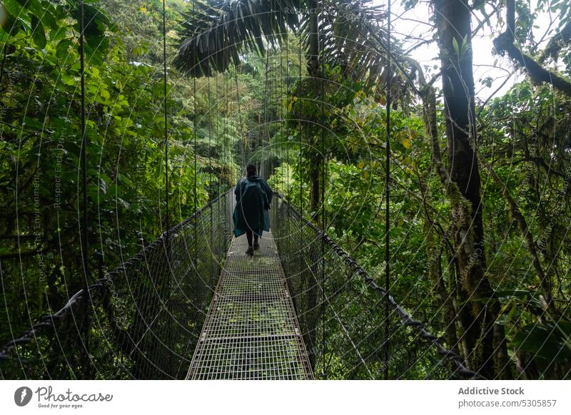 Unbekannter Reisender auf Hängebrücke Wald Suspension Steg Natur Spaziergang Regen Wälder reisen Abenteuer Brücke Costa Rica Tourist Weg erkunden Fernweh Baum