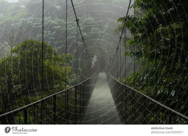 Hängebrücke im grünen Wald bei Regen Brücke Nebel Suspension Natur Baum Wälder Umwelt wolkig leer Waldgebiet Landschaft Pflanze malerisch ruhig Costa Rica