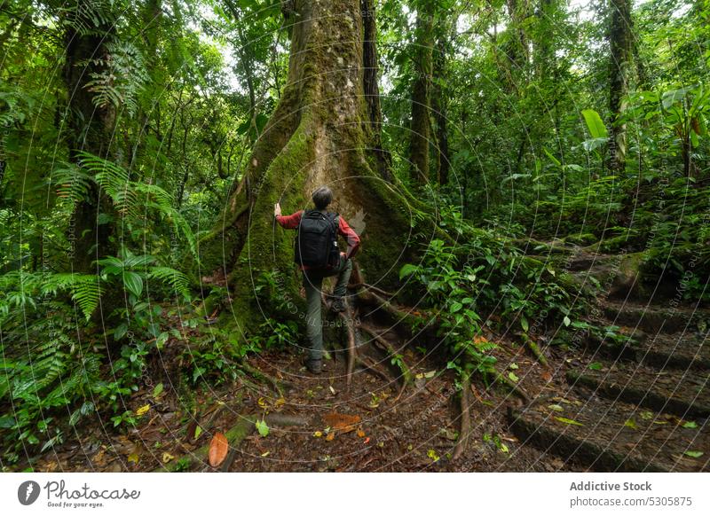 Unbekannter Reisender mit Rucksack im Wald tropisch Wanderung reisen Natur Tourist Urlaub Abenteuer Tourismus Costa Rica Dschungel Regenwald Fernweh exotisch