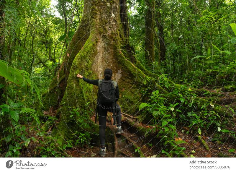 Unbekannter Reisender mit Rucksack im Wald tropisch Wanderung reisen Natur Tourist Urlaub Abenteuer Tourismus Costa Rica Dschungel Regenwald Fernweh exotisch