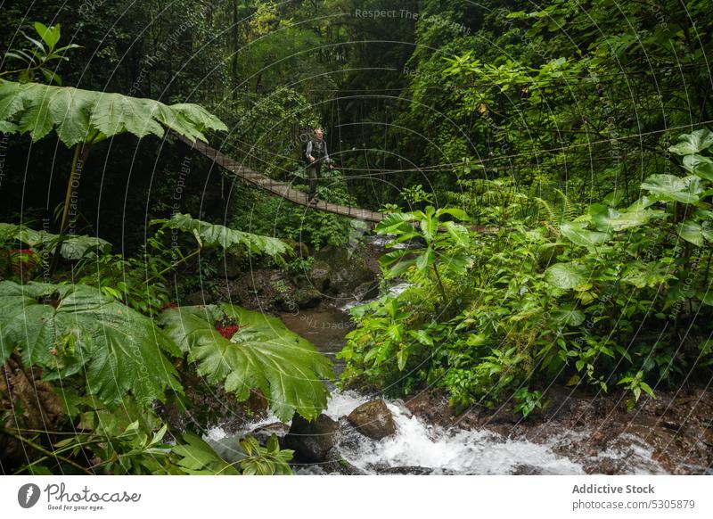 Männlicher Reisender, der auf einer Hängebrücke geht Wald Suspension Steg Natur Spaziergang Regen Mann Wälder reisen Abenteuer Brücke Costa Rica Tourist Weg