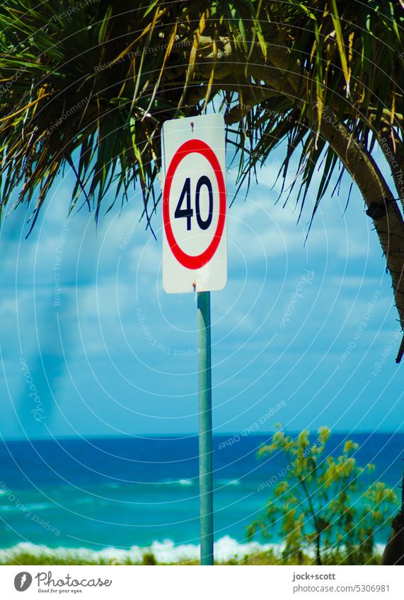 40 km/h Speed Limit im Paradies Geschwindigkeitsbegrenzung Verkehrsschild Sicherheit Verkehrszeichen Palme Horizont Sommer Sonnenlicht Schönes Wetter Meer
