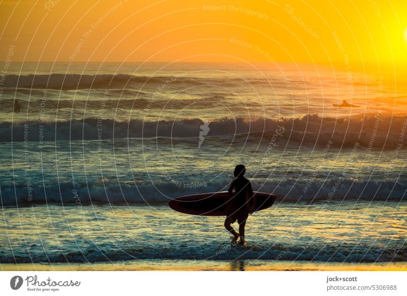 kurz nach Sonnenaufgang mit dem Surfbrett ins Meer Surfer Wassersport Lifestyle Wellen Frühaufsteher Sonnenlicht Gegenlicht Südpazifik Silhouette Romantik Natur