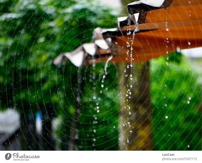 Sommerregen Regenschauer Wetter Markise Regentropfen Wasser nass schlechtes Wetter Wassertropfen Tropfen Regenwetter fließen feucht Schietwetter Mistwetter