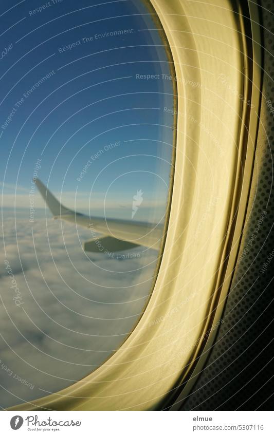 Blick aus einem Flugzeugfenster auf den linken Tragflügel und auf eine Wolkendecke Tragfläche fliegen Blog über den Wolken Plexiglas Luftverkehr Urlaub