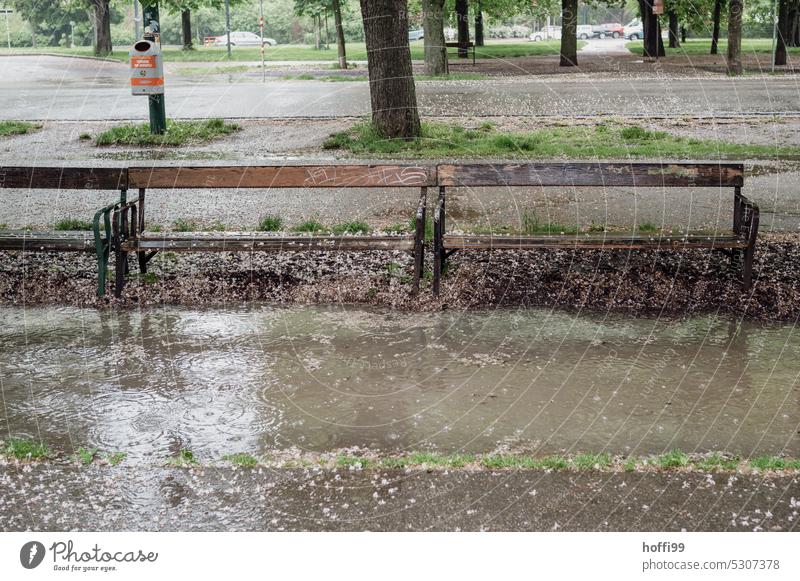 Sitzbänke vor einer großen Pfütze mit Spuren der Regentropfen Sitzbank Bank schlechtes Wetter Wassertropfen Frühling Park frisch nass Natur Kreise Tropen
