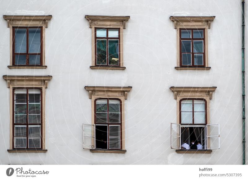 Sechs verschiedene Fenster in Altbaufassade sechs historisches gebäude alt Altstadt Fassade Gebäude Stadtzentrum
