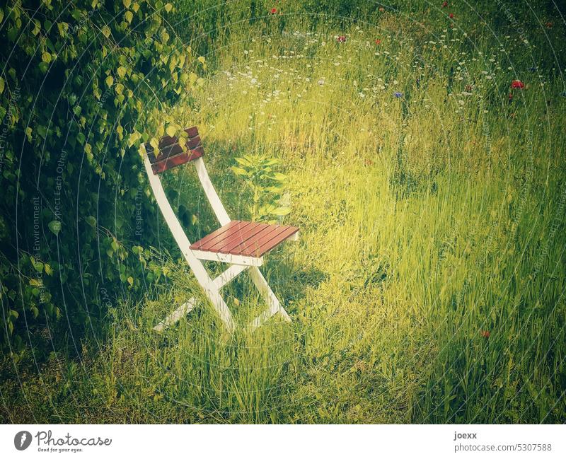Platz an der Sonne auf Stuhl am Baum im sonnigen Blumengarten verträumt Gartenstuhl sonnen Sommer Sonnenplatz Gartenmöbel Menschenleer Außenaufnahme