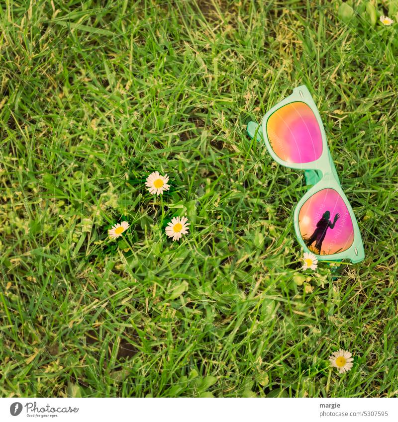 Hallo! Sonnenbrille auf der Wiese mit dem Schatten einer Frau Wiese Rasen Gras grün Sommer Gänseblümchen Mensch winkt Sonnenlicht grüßen Brille Natur Pflanze