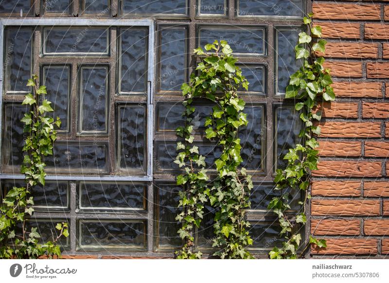 Fassade Vergänglichkeit Verlassenes Dorf Geisterstadt Architektur verlassenes Gebiet Deutschland Architekturfotografie Ökologie leer Umwelt Verwesung Haus