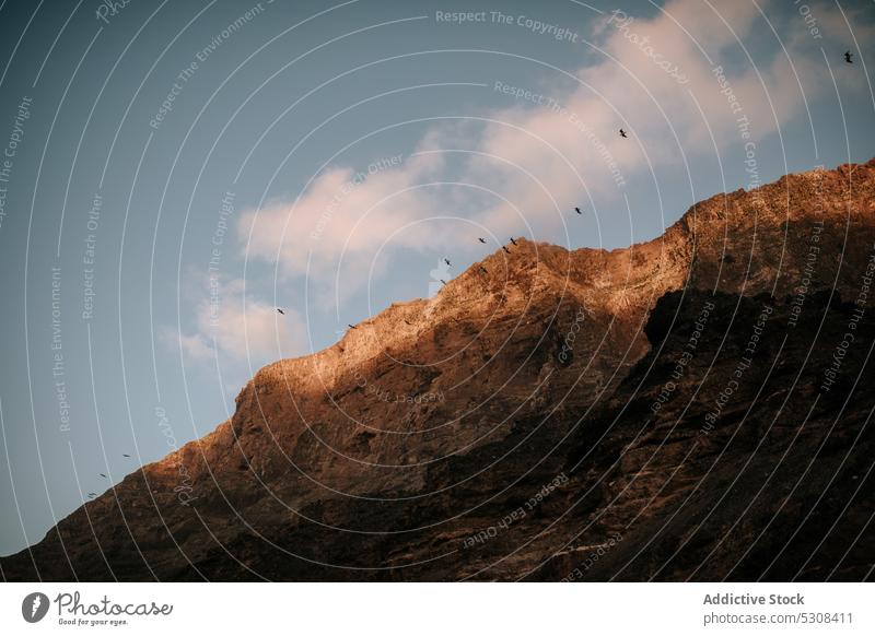 Vögel fliegen über felsige Berge Vogel Berge u. Gebirge Fliege Schwarm Kamm Felsen Hochland Blauer Himmel Natur wolkig Landschaft Lanzarote Spanien