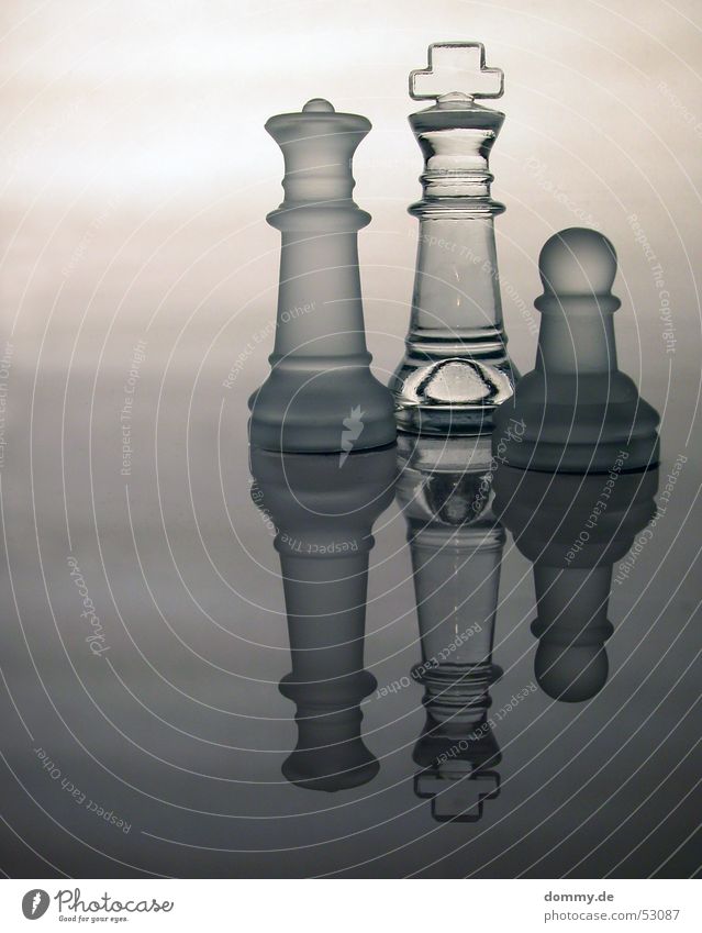 Familie Spielen stehen Reflexion & Spiegelung grau weiß durchsichtig König Dame Schachbrett milchig Glätte Klarheit Glas Kurve Rücken königlich Schachfigur