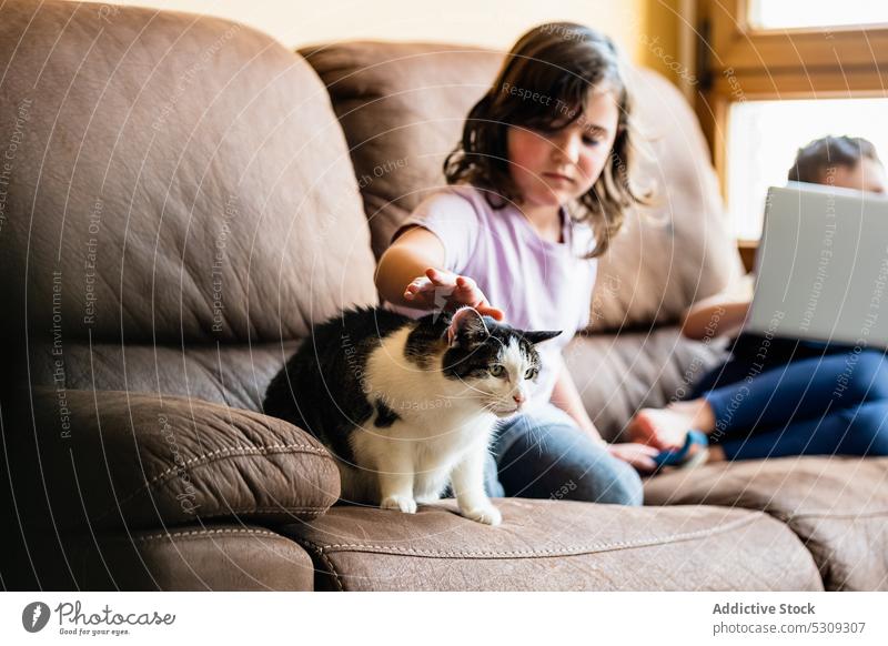 Mädchen streichelt liebenswerte Katze auf Couch Streicheln Kind Zusammensein Sofa Kraulen Haustier Wochenende ruhen niedlich heimwärts bezaubernd wenig Komfort